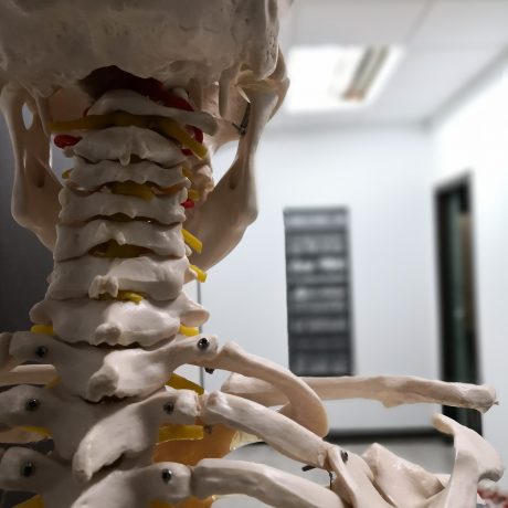 physiotherapy-4099066_1920 physiotherapy-4099066_1920