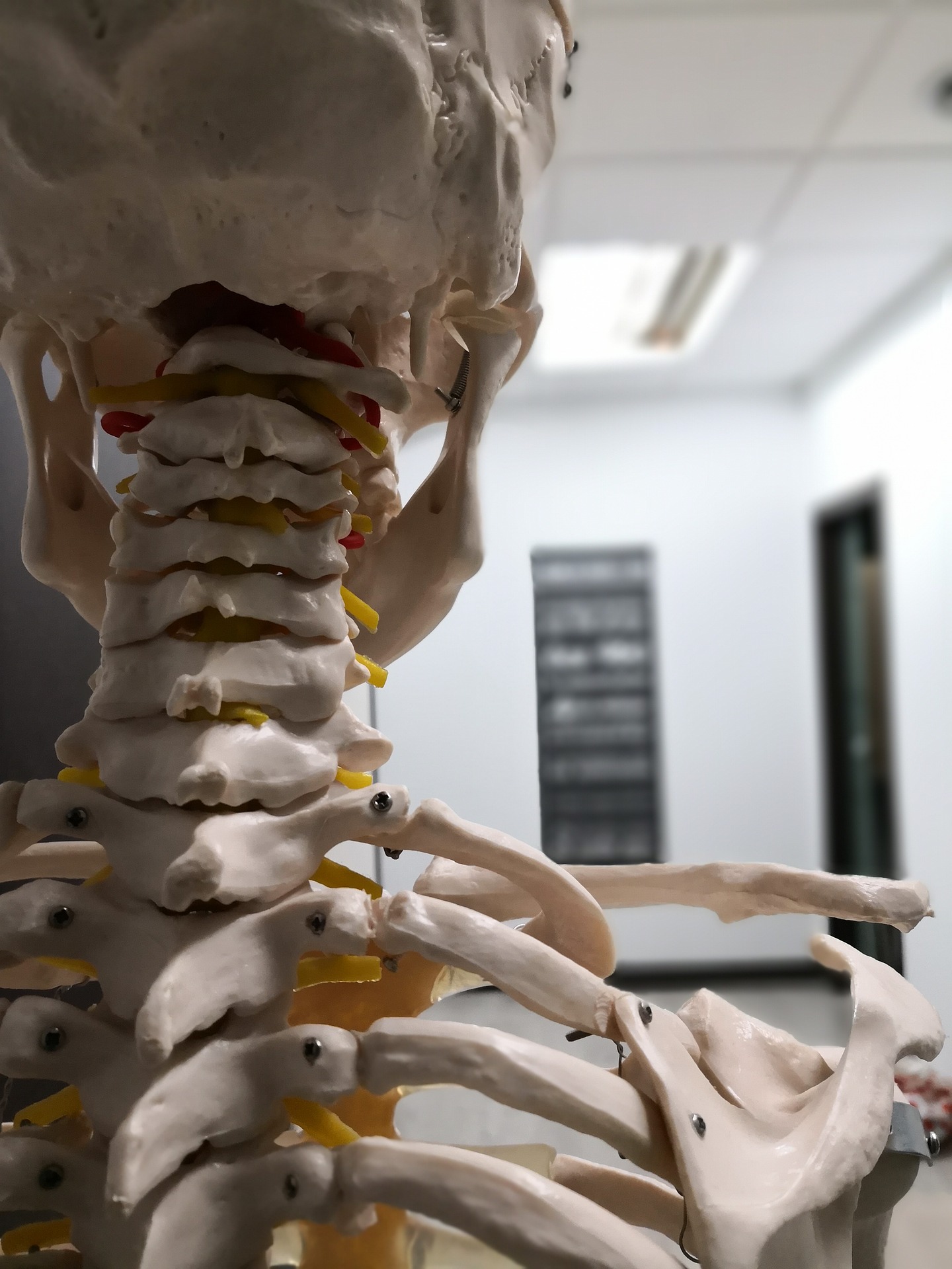 physiotherapy-4099066_1920 physiotherapy-4099066_1920
